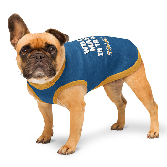 Wild Cat Mascot in Training Knitted Dog Sweater