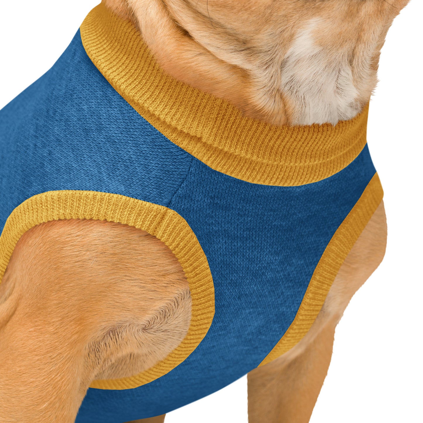 Wild Cat Mascot in Training Knitted Dog Sweater