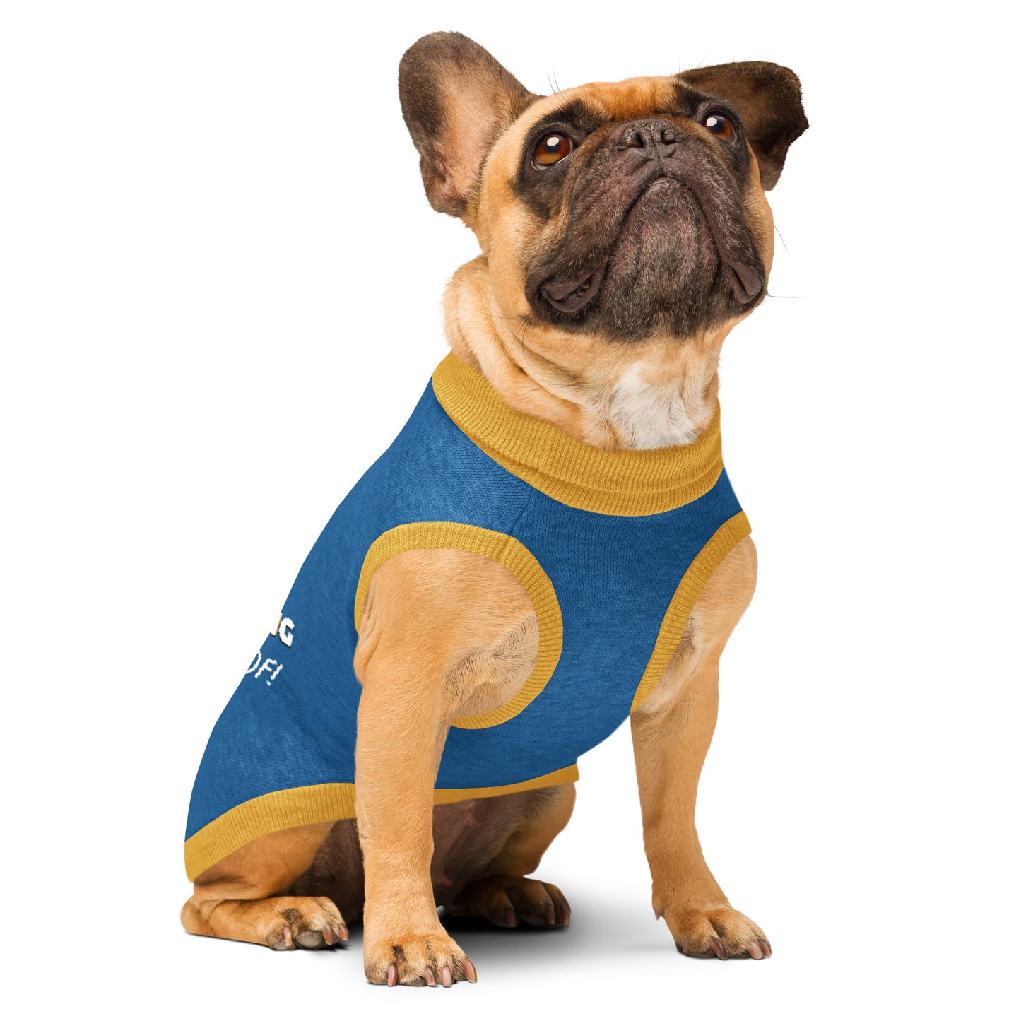 Wild Cat Mascot in Training Knitted Dog Sweater